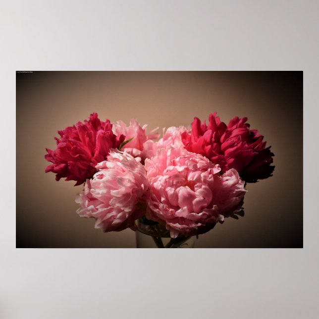 Affiche Peony, (Devant)
