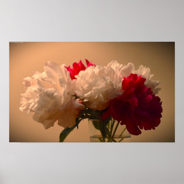 Affiche Peony, (Devant)