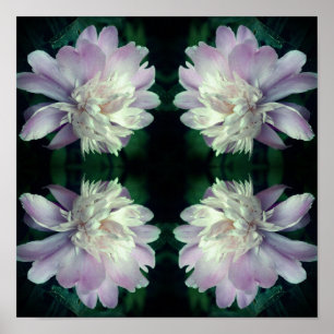Affiche Peony Flower Nature Abstraite