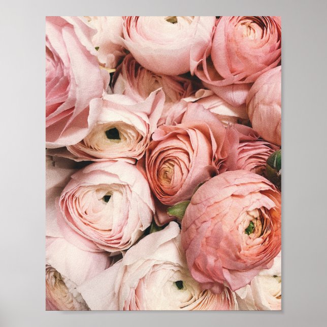 Affiche Peony, imprimé de broussailles, photo de fleurs ro (Devant)