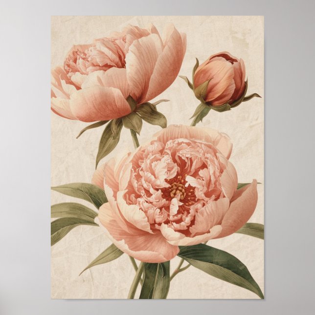 Affiche Peony Watercolor Elegance (Devant)