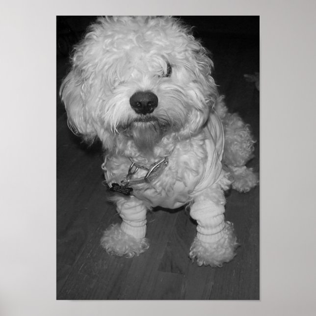 Affiche Pep (Devant)