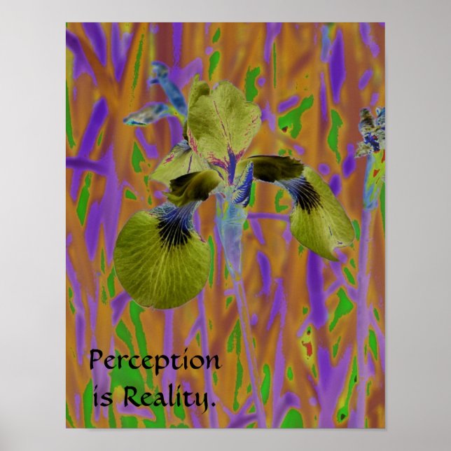 Affiche Perception est Réalité-Iris (Devant)