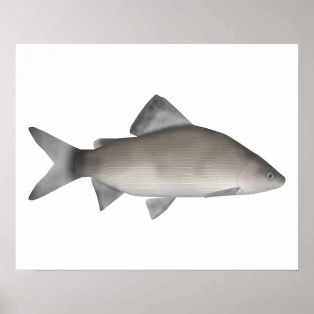 Affiche Perche (Devant)