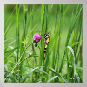 Affiche Perche appropriée