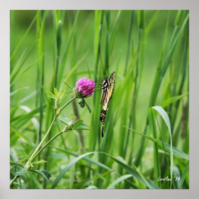 Affiche Perche appropriée (Devant)