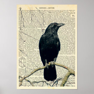 Affiche Perched Raven, Crow, Edgar Allan Poe, Gothic