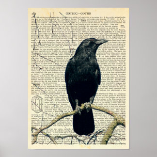 Affiche Perched Raven, Crow, Edgar Allan Poe, Gothic
