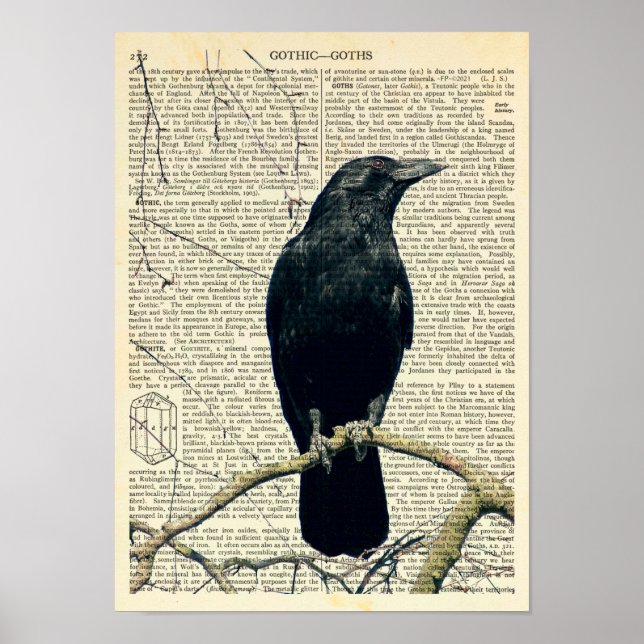 Affiche Perched Raven, Crow, Edgar Allan Poe, Gothic (Devant)