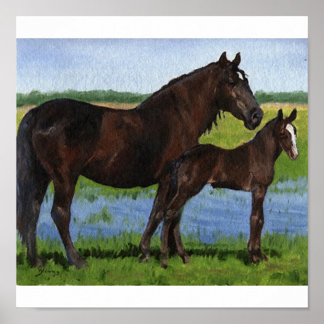 Affiche Percheron Mare et portrait de poulain (Devant)