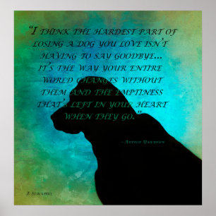 Affiche Perdre un chien