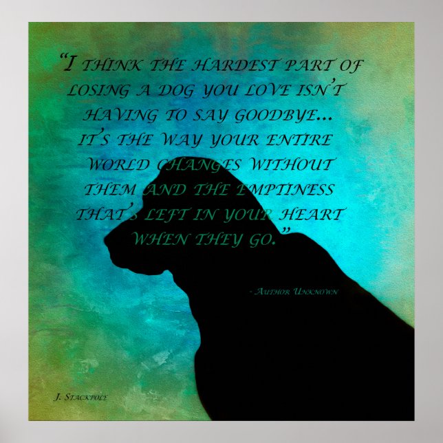 Affiche Perdre un chien (Devant)