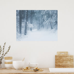 Affiche Perdu dans une forêt magique