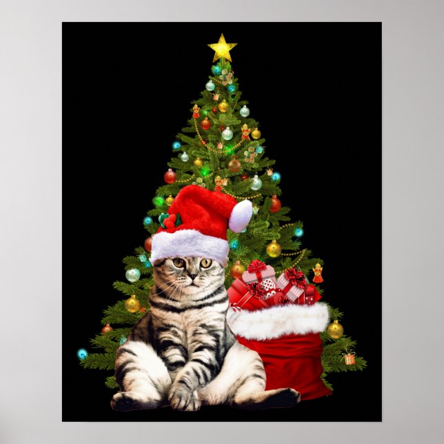 Affiche Père Noël Cat (Devant)
