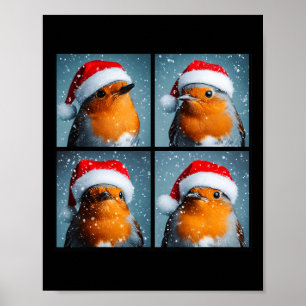 Affiche Père Noël Robin Redsein Winter Bird Photographie C