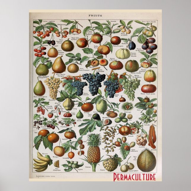 Affiche Permaculture Farms Fruits, personnaliser (Devant)