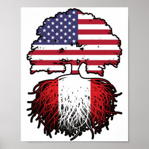 Affiche Pérou Amérique péruvienne Etats-Unis drapeau des r