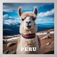 Pérou Llama