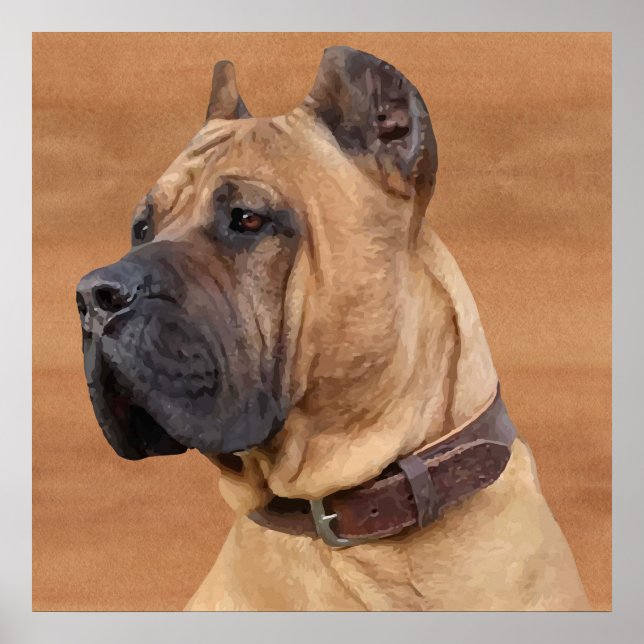 Affiche Perro de Presa Canario - Dogo Canario (Devant)