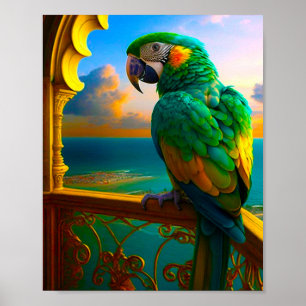 Affiche Perroquet