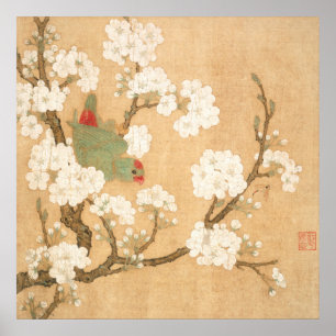 Affiche Perroquet Chinois Oriental Et Fleurs De Poirier