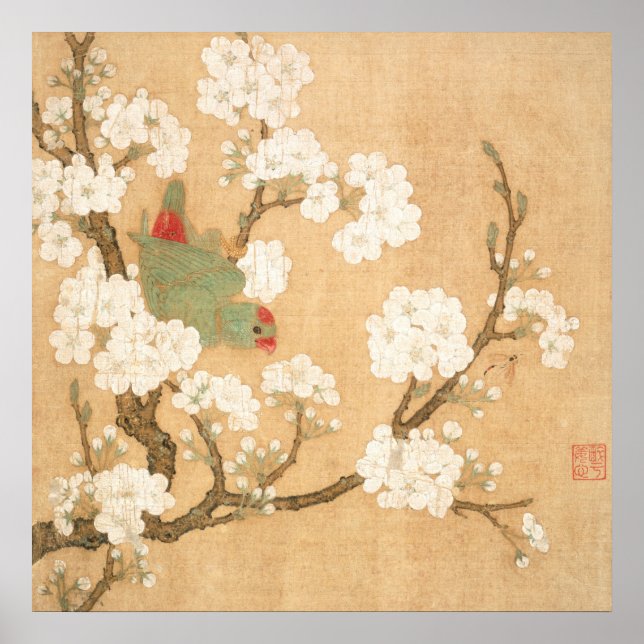 Affiche Perroquet Chinois Oriental Et Fleurs De Poirier (Devant)