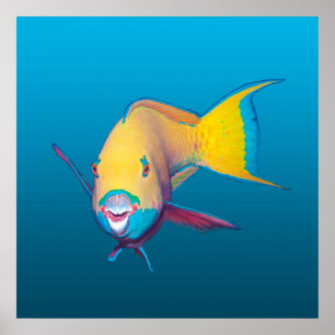 Affiche Perroquet en gros plan ! Fond bleu dégradé