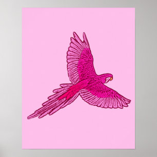 Affiche Perroquet en vol, Fuchsia et rose glace