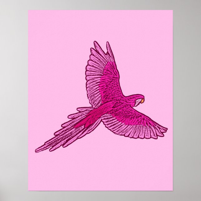 Affiche Perroquet en vol, Fuchsia et rose glace (Devant)