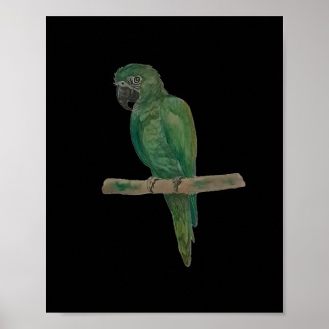 Affiche Perroquet vert vibrant – Art à l'aquarelle peint à (Devant)