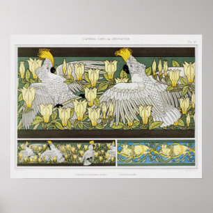 Affiche Perroquets anciens, Magnolia & Souris blanches