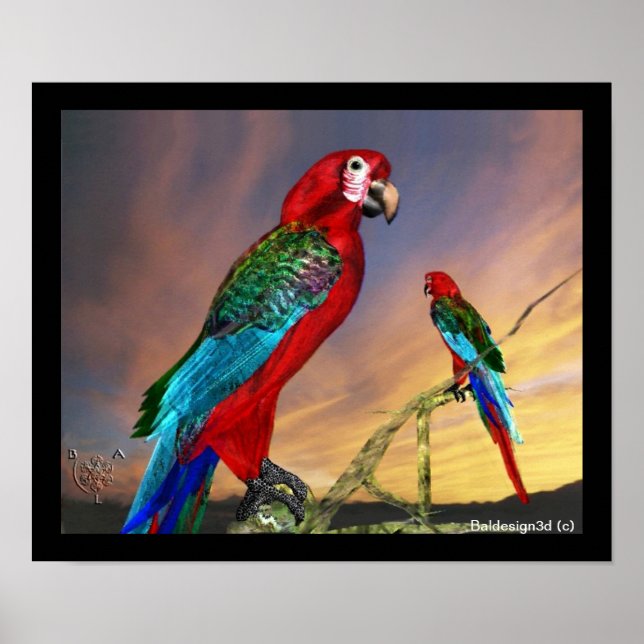 AFFICHE PERROQUETS HYPER / ARA ROUGE (Devant)