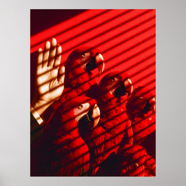 Affiche Perroquets rouges et main (Devant)