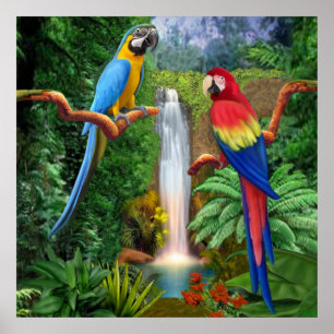 Affiche Perroquets Tropicaux Ara