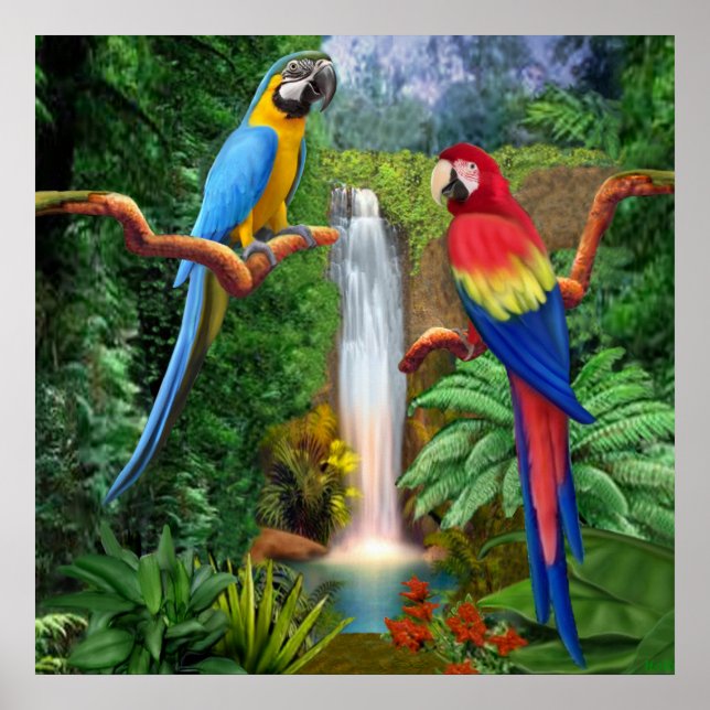 Affiche Perroquets Tropicaux Ara (Devant)