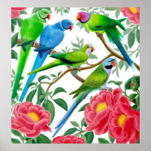Affiche Perruches et copie de pivoines