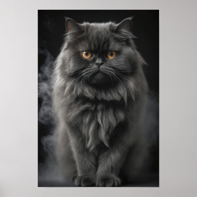 Affiche Perse Chat Animaux Animaux Élégants Portrait Drama (Devant)