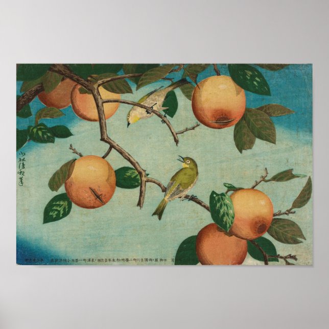 Affiche Persimmons and White-Eyes 1880 Japanese Print (Devant)