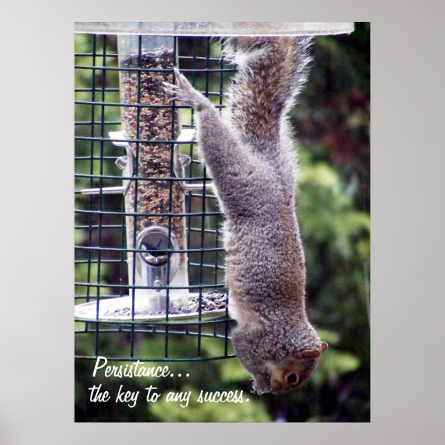 Affiche Persistance (Devant)