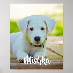 Affiche Personalized custom pet photo