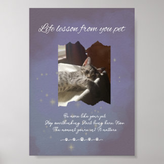 Affiche Personalized Dreamy Life Lessons from your Pet