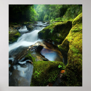 Affiche personnalisable : Chattooga River Waterfal