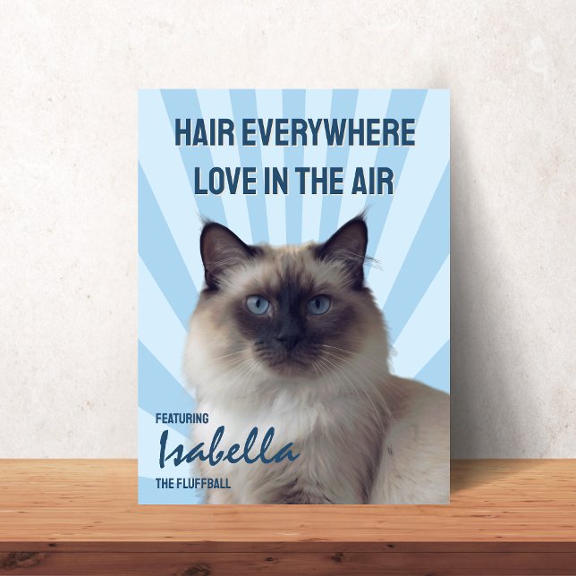 Affiche personnalisée de chat « Poils partout, amo (Hair Everywhere, Love in the Air Custom Cat Poster)