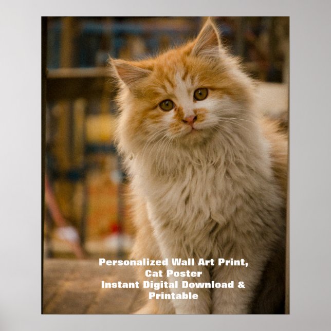 Affiche personnalisée de chat - Télécharger le por (Devant)