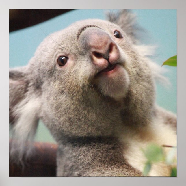 Affiche Personnaliser (Devant)