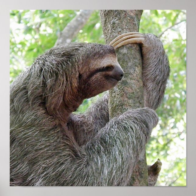 Affiche Personnaliser (Devant)