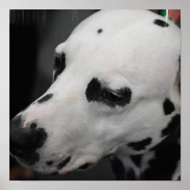 Affiche Personnaliser (Devant)