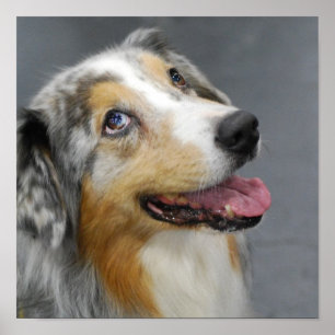 Affiche Personnaliser