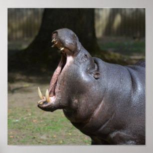 Affiche Personnaliser