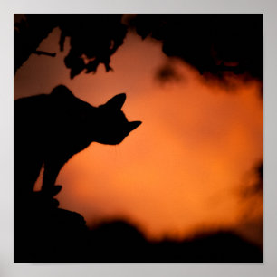 Affiche Personnaliser Arrière - plan Halloween Black Cat O